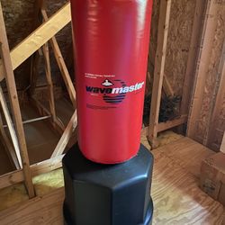 Wave Master Kickboxing Trainer