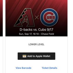 Arizona Cardinals And Arizona Diamondbacks