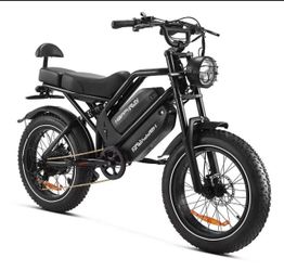 HappyRun G70 2000W Dual Battery Fast Electric Cargo Bike