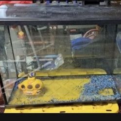 Aquarium 