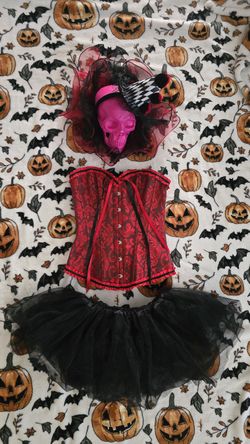 Clown Costume