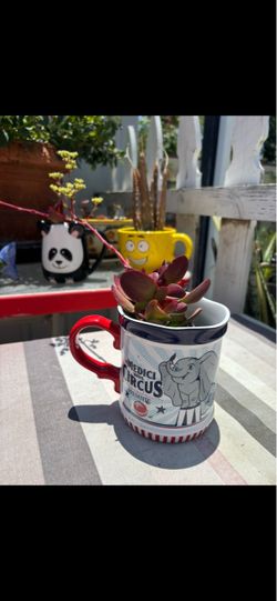 Succulent in Dumbo mug