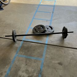 Rubber Barbell w/plates