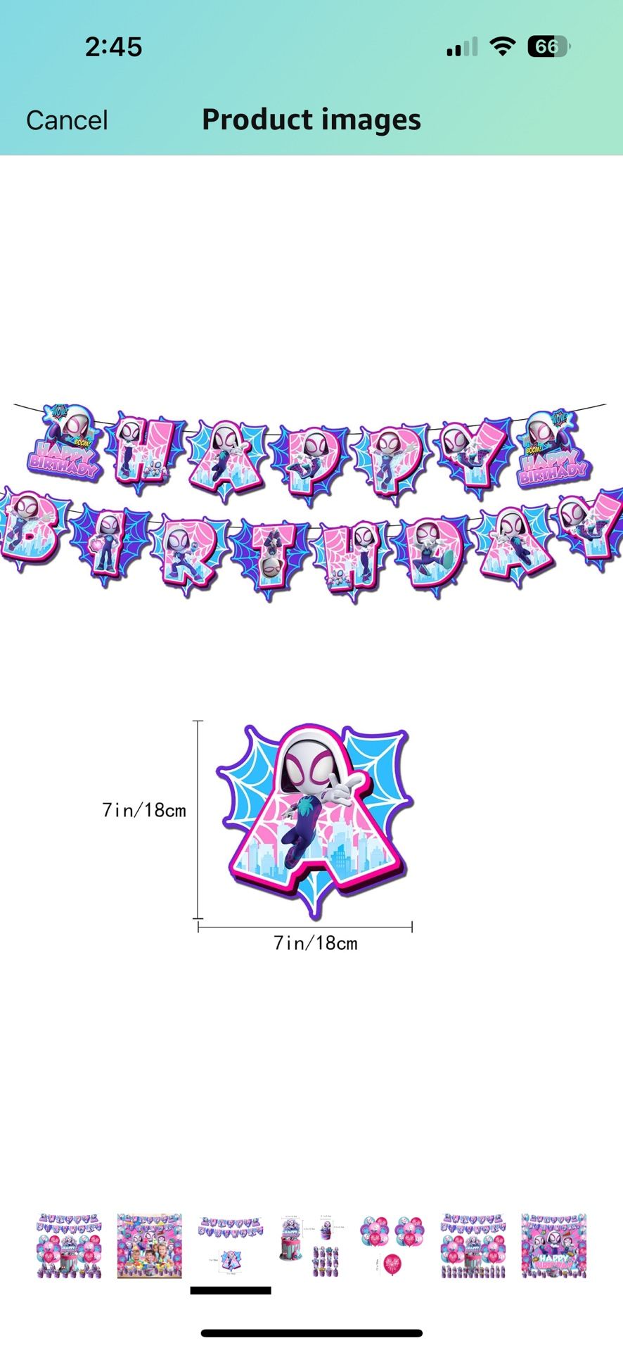 Spider girl Party Decor