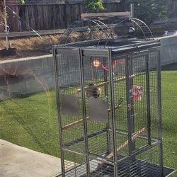 Bird Cage