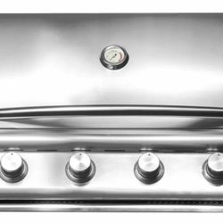 Blaze Prelude LBM 32-Inch 4-Burner Grill Built In LP Or NG Available 