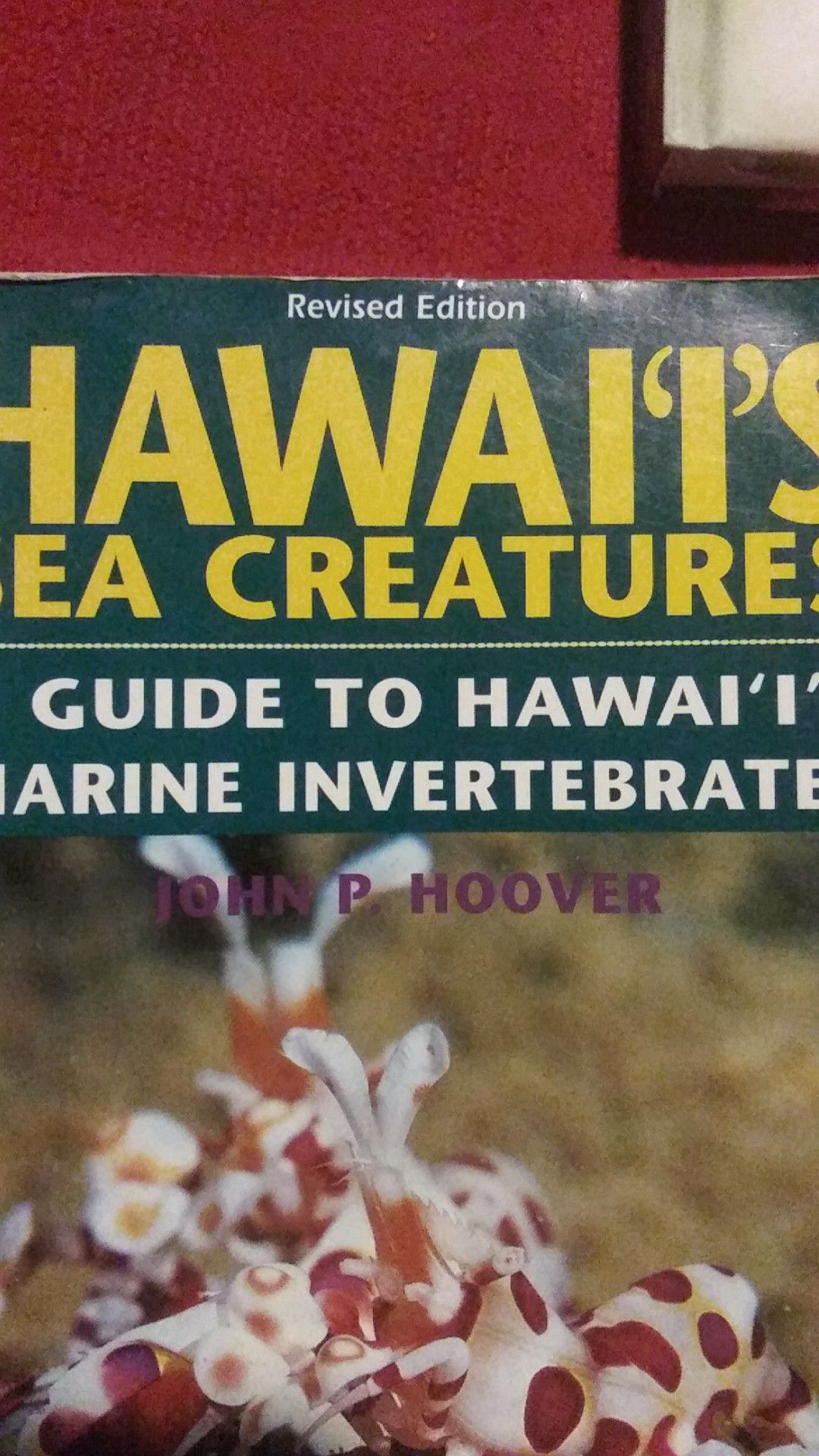 Book - Hawaii Sea Creatures
