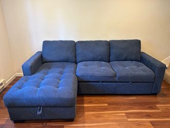 Sleeper Sofa with Chaise