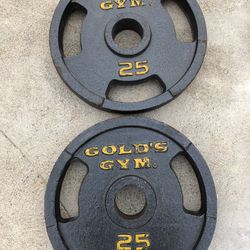2x25 Lbs Olympic Weight Plates
