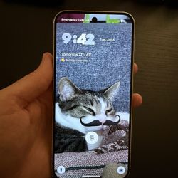 Google Pixel 10 Pro XL 256 GB Unlocked