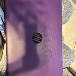 HP purple laptop