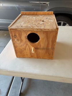 Bird nest (South phx)