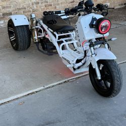 2023 Ice Bear Mad dog Trike