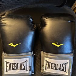Boxing Gloves Everlast Pro Style