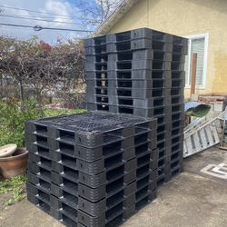 Plastic Pallets