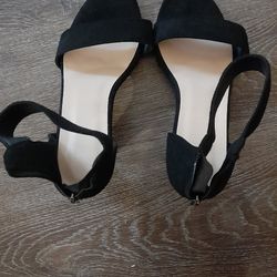 Sexy Stilelto Black Shoe