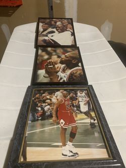 Bulls Photos 