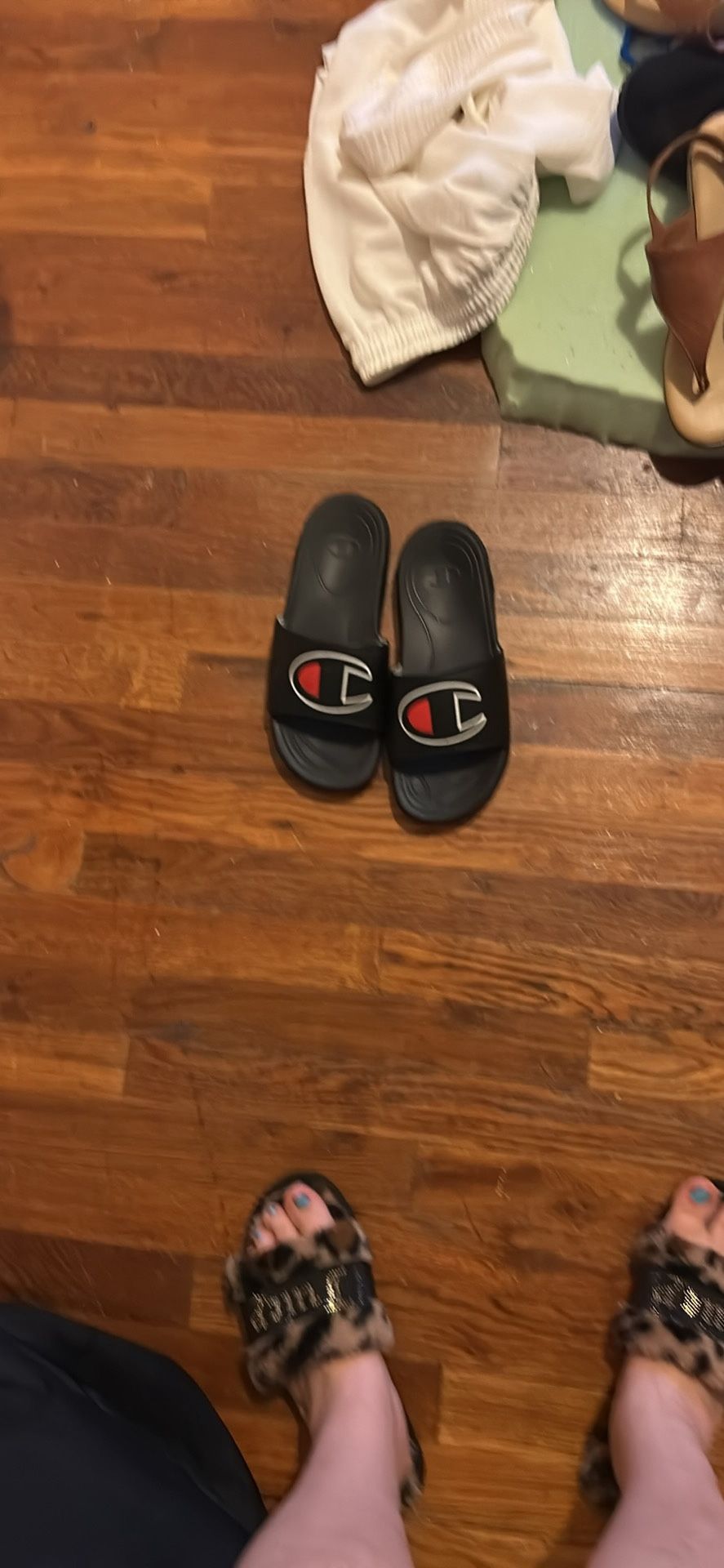 Champion Slides 5y