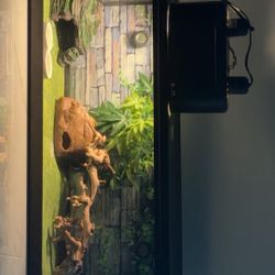 Reptile Enclosure Tank