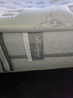 Sizing Normal Aaa Earn $20 and free king size mattress for Sale in Issaquah, WA - OfferUp