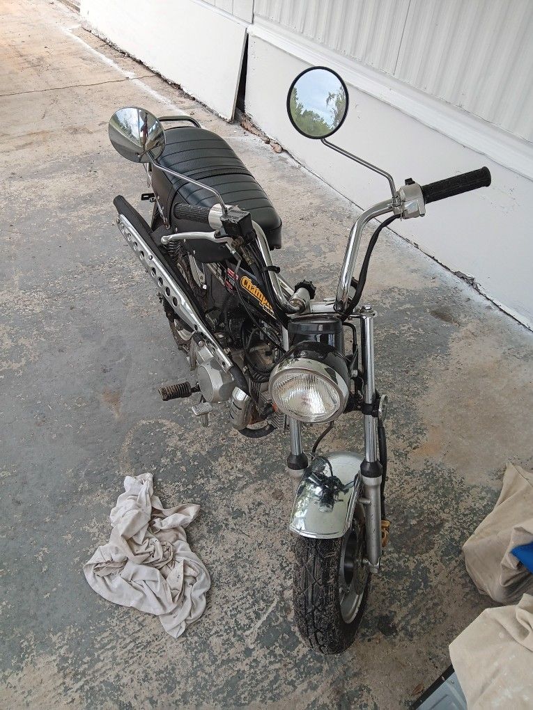 Brand New Bike 2023