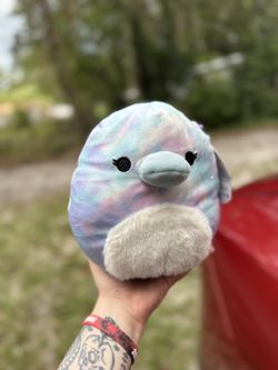Platypus Squishmallow