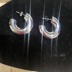 Stainless Steel Earrings 