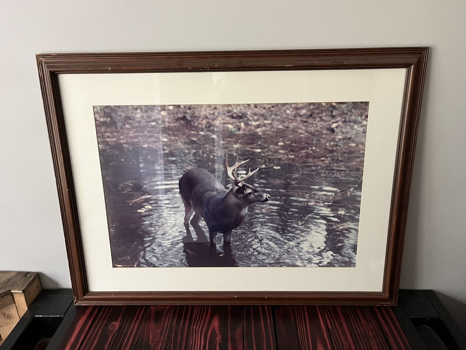 Buck Picture 39x29
