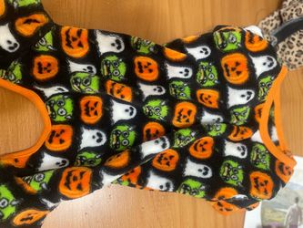 NEW DOG OUTFIT HALLOWEEN 🎃