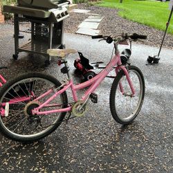 Trek 24 Girls Bike