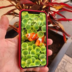 IPhone 11 Pro Max  >>Trade