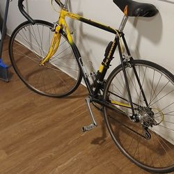 Do 3000 Panasonic Racer 10 Speed 