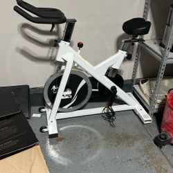 Sunny Exercise Bike