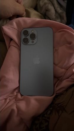 iPhone 13 Pro Max ( unlocked )