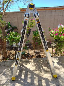 22ft Gorilla Ladder | Escalera