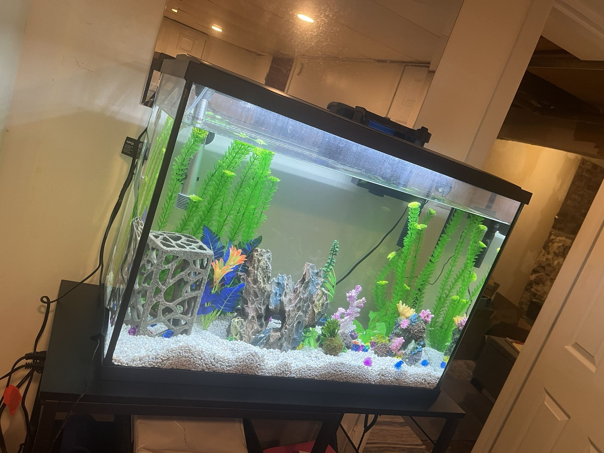 29 Gallon Fish Tank No Fish