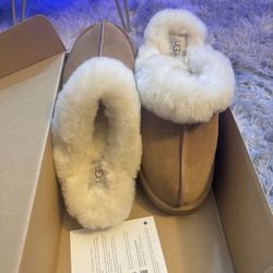 UGG Disquette Chestnut 