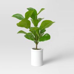 Set Of Faux Fig Leaf Ferns