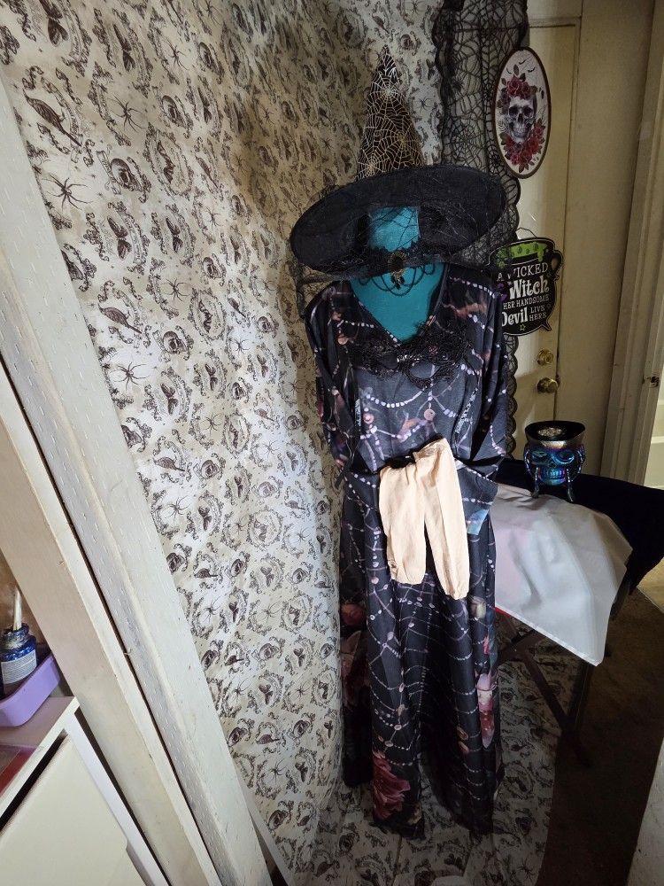 Witch Costume With Spiders