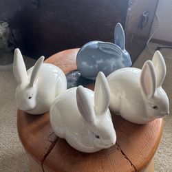 Perfect for Easter, rabbits