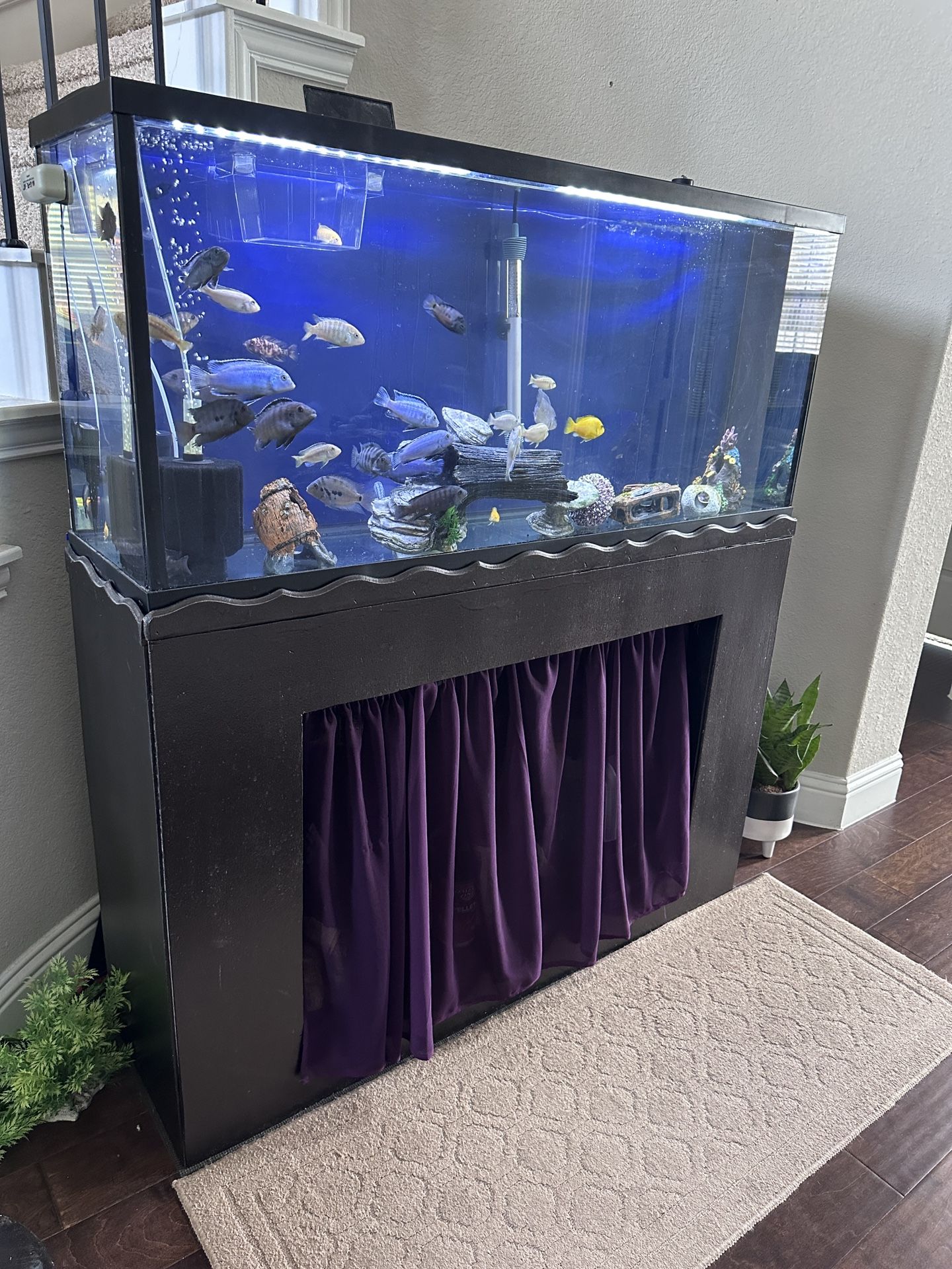 Fish Tank And stand