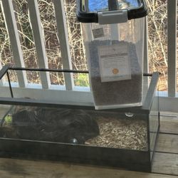 Reptile Tank