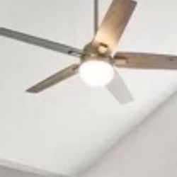 Ceiling Fan With Light