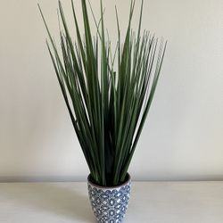 Greenery In Blue Ceramic Pot 
