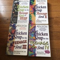 Chicken Soup Books (4)