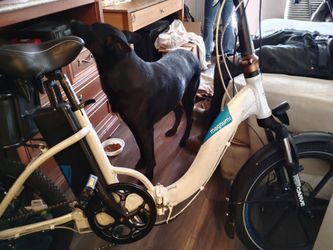 Magnum ebike less then 100 miles on it 1800$ new lost charger and key can get from manufacturer