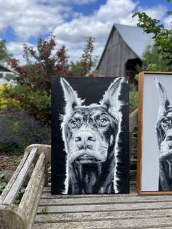 Modern Doberman oil painting by Benjamin Griswold black & white 20x30