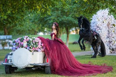 Burgundy Ball Gown Quinceañera Dress