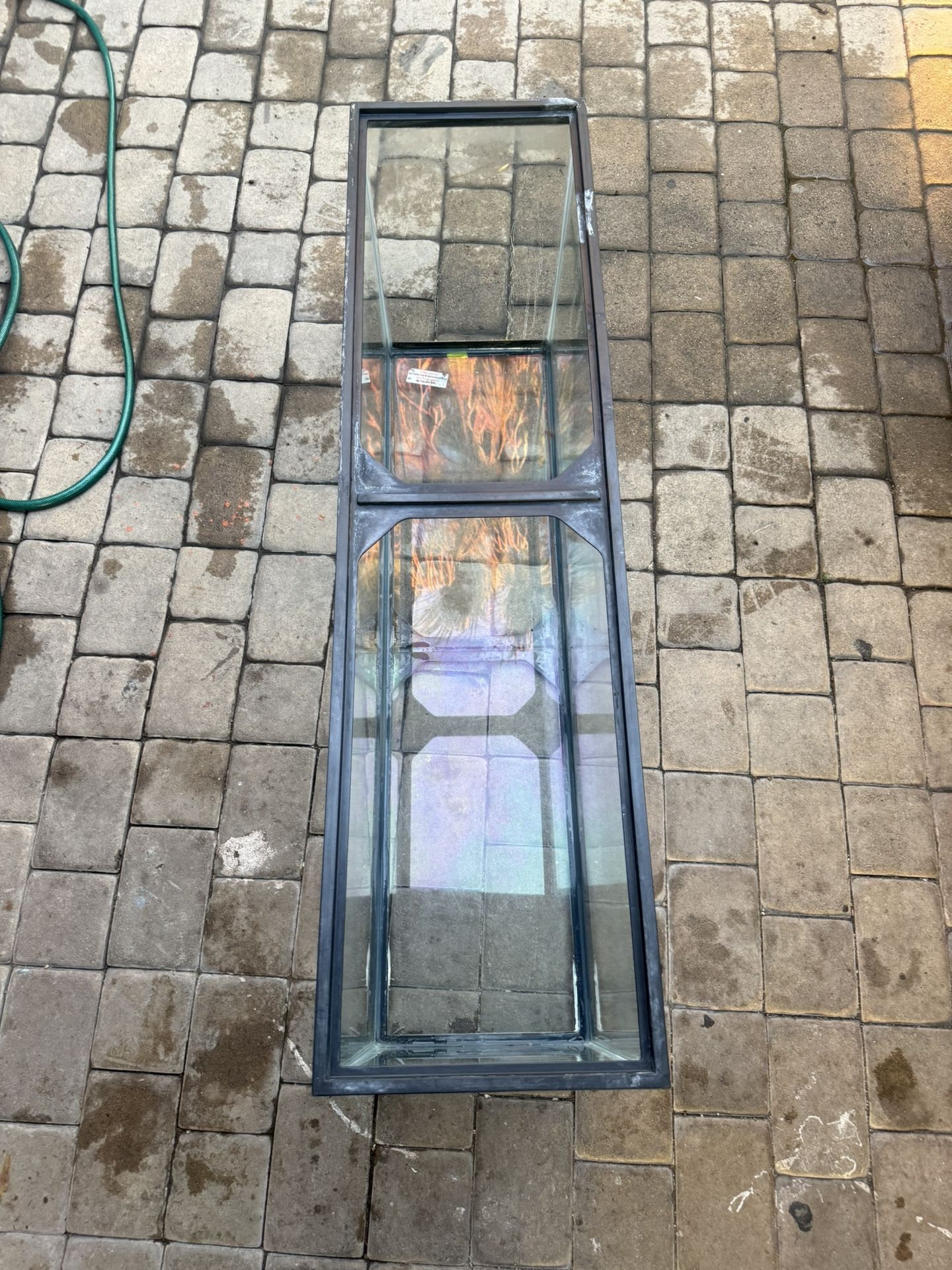 Fish Tank