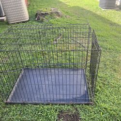 Dogs Cage